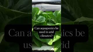 Aquaponics: The Trend That's Shaping the Future of Farming | Chinampas Farms