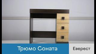 Трюмо Соната фабрика Еверест. Відеоогляд. Збірка