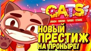 ПРОНЫРА НА НОВОМ ПРЕСТИЖЕ В CATS #25