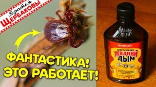 ЖИДКИЙ ДЫМ ПРОТИВ КЛЕЩЕЙ! Фантастика – это работает!
