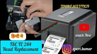 How To Change TsC Te 244 Barcode Printer Head in Hindi / Replacement/ Repair #tsc #barcodeline