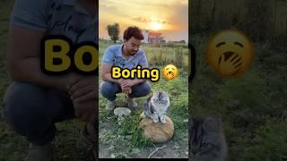 Boring day  #shorts #vlog #minivlog #dailyvlog #cat