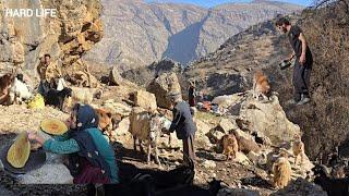 Nomadic life  The daily life of Sadiq and his family travel to the mountains for their needs