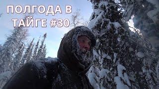 ОХОТА НА СОБОЛЯ . ПОЛГОДА В ДИКОЙ ТАЙГЕ. ПРОМЫСЕЛ 2018 - 2019 #30