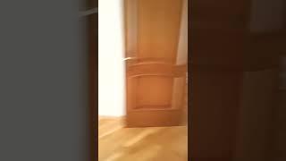 обзор на номер в котором сейчас я отдыхыю #smalldeir #tiktok #хочуврек #хочувреки #номера #shorts