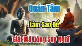 Quán Tâm Là Gì? Hành Trình Nhìn Sâu Vào Chính Mình #phậtgiáo #loiphatday #phatgiao