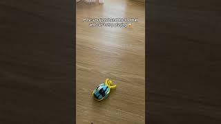 POV: you found RC football and can’t stop playing with it