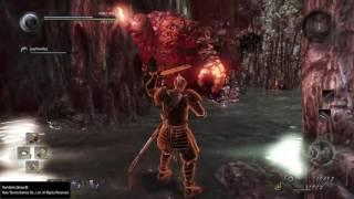 Nioh - Nice Throw Bro