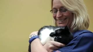 Veterinary Care and Grooming | Cooper City, Florida | Four Paws Animal Hospital
