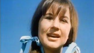 The Seekers - Turn, Turn, Turn (HQ Stereo, 1966/67)