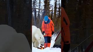 "Alone in the Wild: Woman Faces a Polar Bear—What Happens Next is Shocking! ‍️"