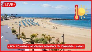 LIVE: OMG  it is STUNNING in Tenerife right now! Los Cristianos Beach walk to Las Americas 