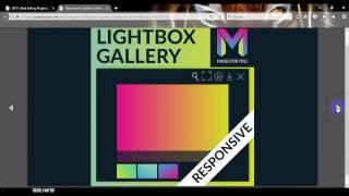 Responsive Lightbox Gallery Widget by Muse For You