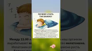 Сколько часов нужно спать? #какулучшитьсон