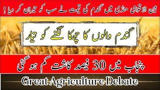 Expected wheat price in 2024| Great Agriculture Debate Kisan News TV