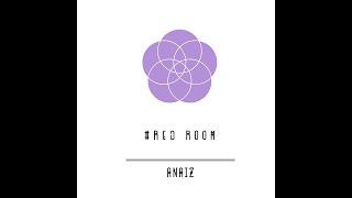 ANAIZ - RED ROOM