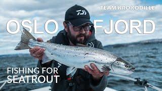 Inner Oslofjord - Fishing for Seatrout!