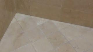 Commercial and Residential Tile & Grout Cleaning Near Daytona Beach