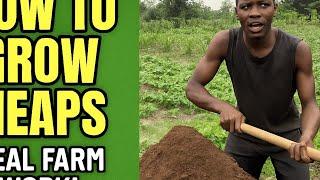 How We Make Farm Heaps in the Village | Real Hustle with Hoe & Heart