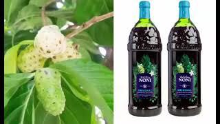 О соке Tahitian NONI Таитянский НОНИ рассказывает гастроэнтеролог В В  Чернин