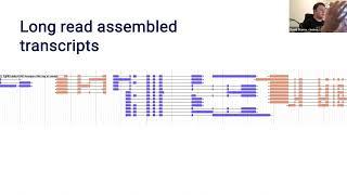 Exploring gene models introduction