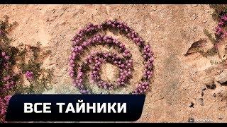 FAR CRY: NEW DAWN - ВСЕ ТАЙНИКИ