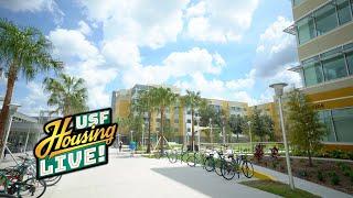 Explore the Village - USF Housing LIVE! - 502