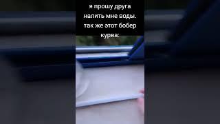 #мем #друг