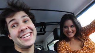 DAVID DOBRIK BEST MOMENTS OF 2019!