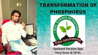 Transformation of P in Soil || Eetela Sathyanarayana || Assistant Professor || PJTSAU