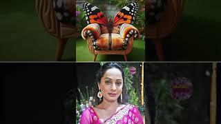 Top 10 CID officer with their favourite butterfly chair #abhijeet #daya #shereya #cid #cid2025