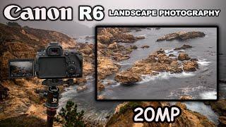 CANON R6 - is 20 megapixels ENOUGH?