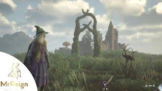 Hogwarts Legacy All 5 Hedge Maze Locations & Solutions
