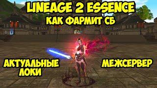 Как фармит СБ в Lineage 2 Essence.