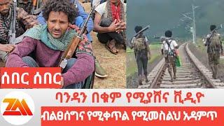 የሚገርም ልብ የሚያሞቅ ጠላትን የሚያስደነብር ቪዲዮ May 4, 2024