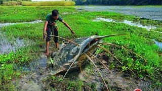 Amazing Fishing! A Boy Is Underground Big Catfish Fishing In The River Bank - Mridul Fishing