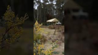 Solo camping on ruins and iced coffee️️