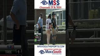 Cotton States League has working man behind the plate #shorts
