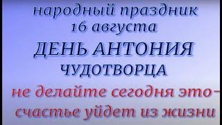 16 августа народный праздник День Антония Вихровея. Народные приметы и традиции. Что делать нельзя.