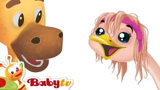 Dance Party  | Ostrich Learns to Dance  Gee-Raffa, Daily on BabyTV @BabyTV