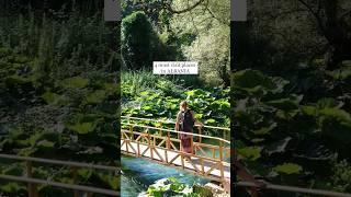 4 MUST visit places in ALBANIA!