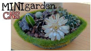 DIY Mini Cactus Garden | Mini High Desert Cactus Garden