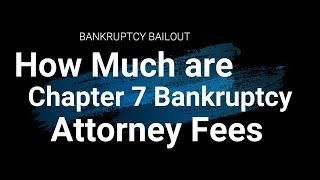 How much does it cost to file bankruptcy with a lawyer?