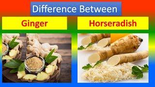 Differences Between Medical And Health Benefits Of Ginger  and  Horseradish