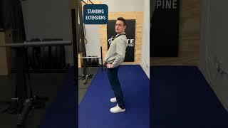 McKenzie Standing Extensions