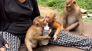 New abandoned Fido meet Rusty | Do love Abandoned in forest | Save Baby Monkey | Rescue macaque