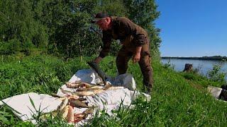 ВОТ ЭТО ПОПЁРЛО! Не ОЖИДАЛ ТАКОГО! РЫБАЛКА на РЕЗИНКИ ЛЕТОМ  КЛЁВ ПОШЁЛ!