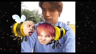 [Quicky] Daesung & Annoying GRIbees!