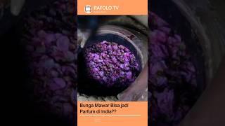 Parfum India Yang Terbuat Dari Bunga Mawar ? #shorts #parfum #bungamawar #shortvideo #india