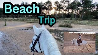 A TRIP TO THE BEACH! | A good way to end a bad year